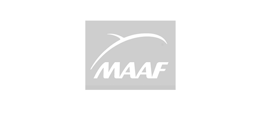 Logo Maaf